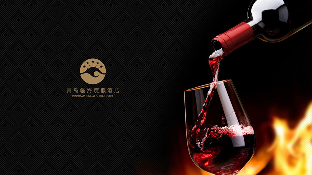 vi設(shè)計(jì)案例1